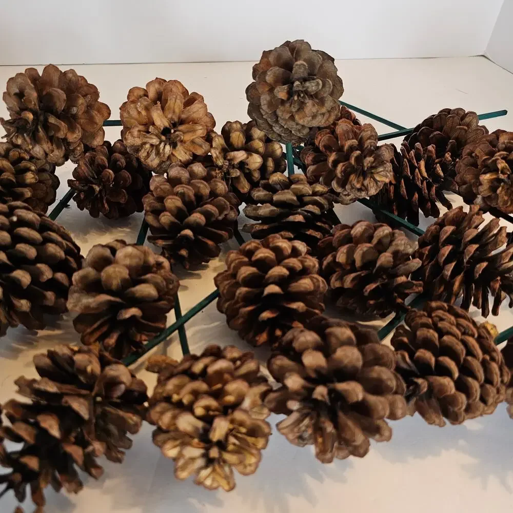 30 Natural Pine Cone Floral Picks 7in Green Wood Stems Wreath Craft Rustic Decor